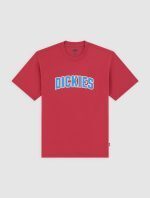 DICKIES AITKIN TEE GARNET DK0A88GLL331 - Image 5