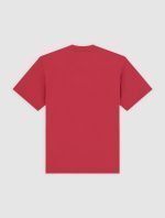 DICKIES AITKIN TEE GARNET DK0A88GLL331 - Image 6