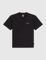 Dickies Loretto Medium-Weight T-Shirt Black DK0A89ENBLK1 - Image 6