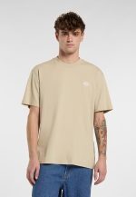 DICKIES SUMMERDALE TEE EUCALYPTUS DK0A4YAIL441