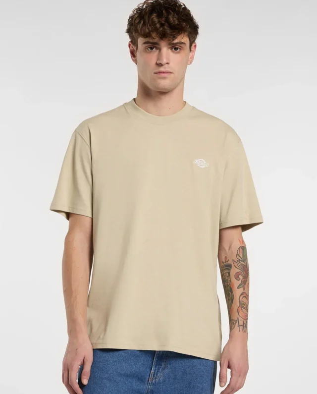 DICKIES SUMMERDALE TEE EUCALYPTUS DK0A4YAIL441
