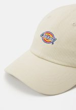 DICKIES HARDWICK WHITECAP GRAY DK0A4TKVF901 - Image 3