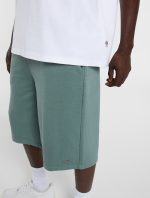 DICKIES POLK SS TEE WHITE DK0A88GO0WH1 - Image 4