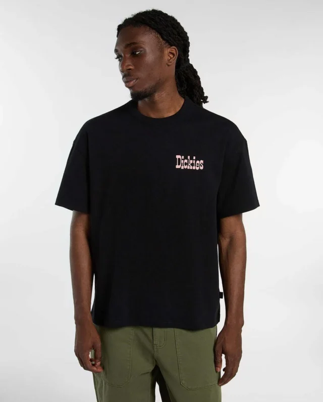 DICKIES Minden Short Sleeve T-Shirt BLACK DK0A8DTCBLK1 - DICKIES
