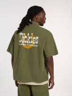 DICKIES Vernal short-sleeved shirt Cypress DK0A88O8K721 - Image 2