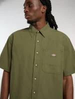 DICKIES Vernal short-sleeved shirt Cypress DK0A88O8K721 - Image 3