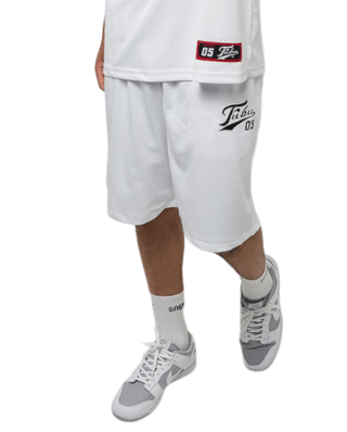 FUBU VARSITY MESH SHORTS WHITE/BLACK FM232-005-3