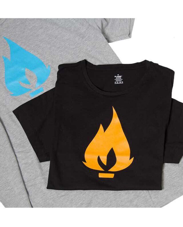 MOLOTOW FLAME BLUE T-SHIRT GREY - Flame