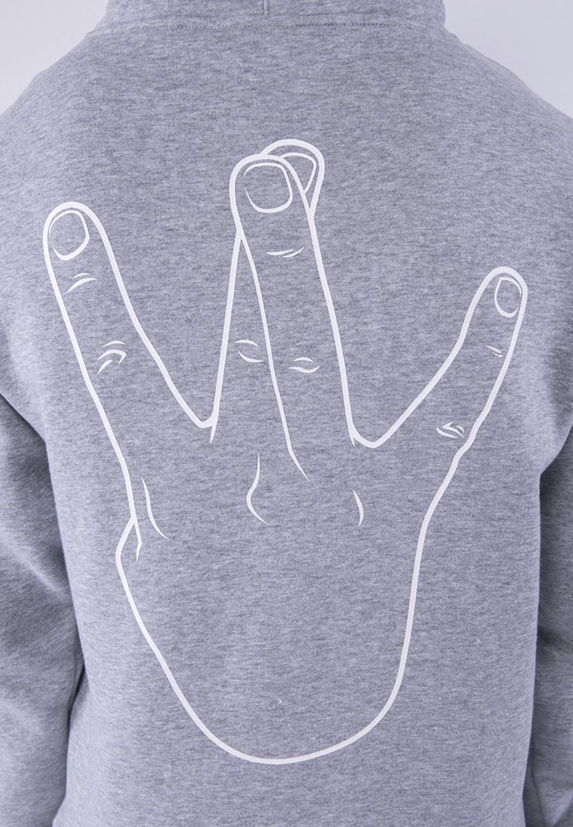 CAYLER AND SONS WL WESTCOAST HOODIE HEATHER GREY/MC - Image 4