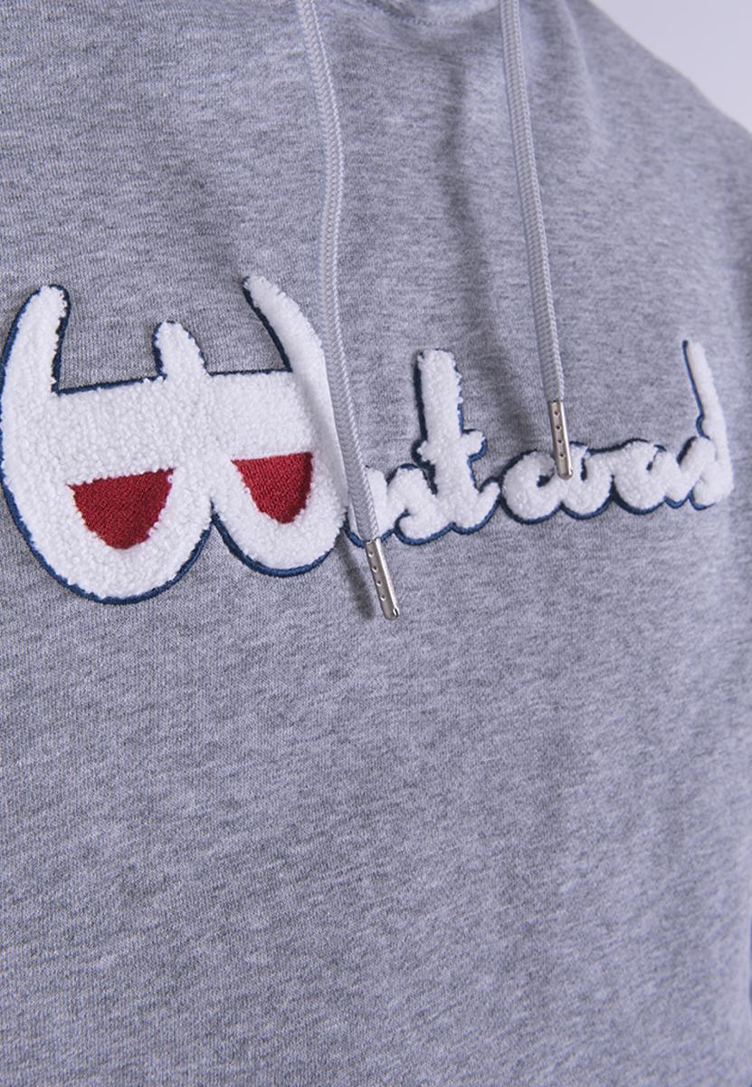 CAYLER AND SONS WL WESTCOAST HOODIE HEATHER GREY/MC - Image 3