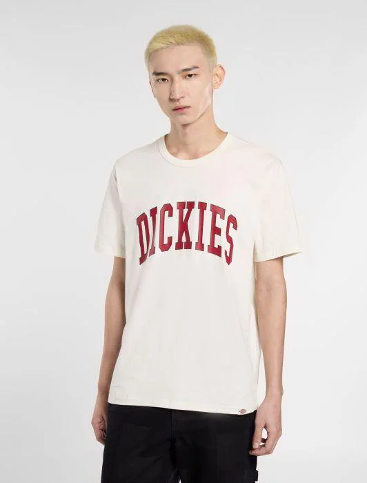 Dickies Aitkin Short Sleeve T-Shirt Beige DK0A4X9FC481
