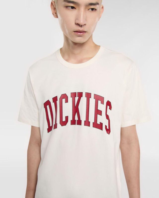 Dickies Aitkin Short Sleeve T-Shirt Beige DK0A4X9FC481 - DICKIES