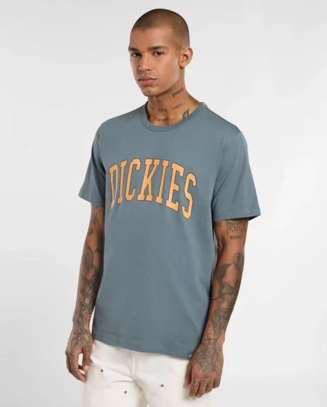 Dickies Aitkin Short Sleeve T-Shirt Stormy Weather DK0A4X9FG701