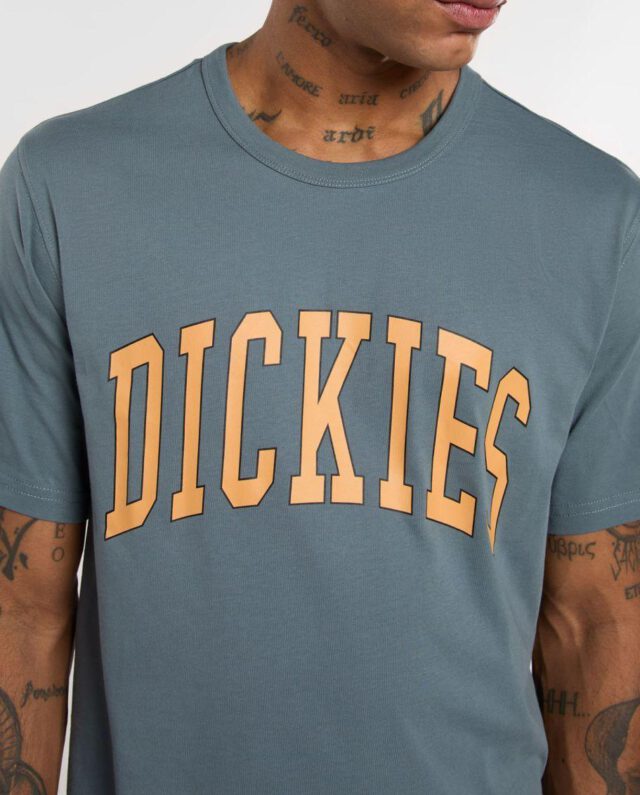 Dickies Aitkin Short Sleeve T-Shirt Stormy Weather DK0A4X9FG701 - DICKIES
