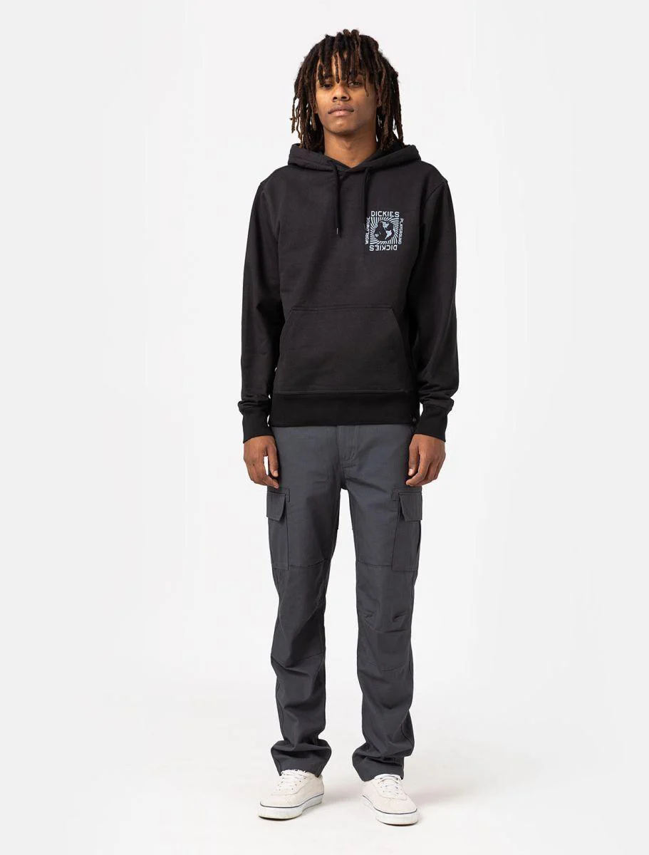 DICKIES MILLERVILLE CHARCOAL GREY DK0A4XDUCH01 - Image 4