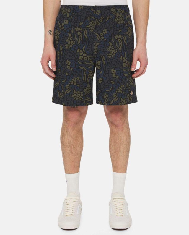 Dickies Saltville Shorts Blue/brown DK0A4YSHJ461
