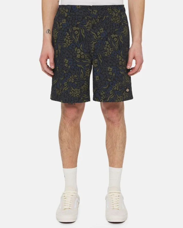 Dickies Saltville Shorts Blue/brown DK0A4YSHJ461