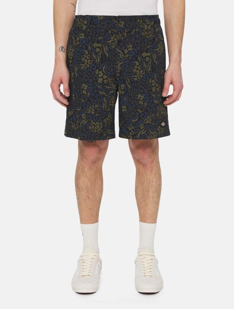 Dickies Saltville Shorts Blue/brown DK0A4YSHJ461