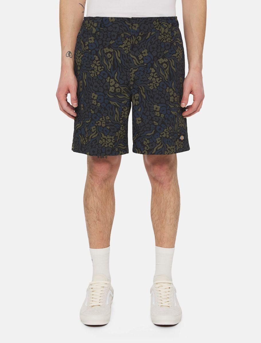 Dickies Saltville Shorts Blue/brown DK0A4YSHJ461