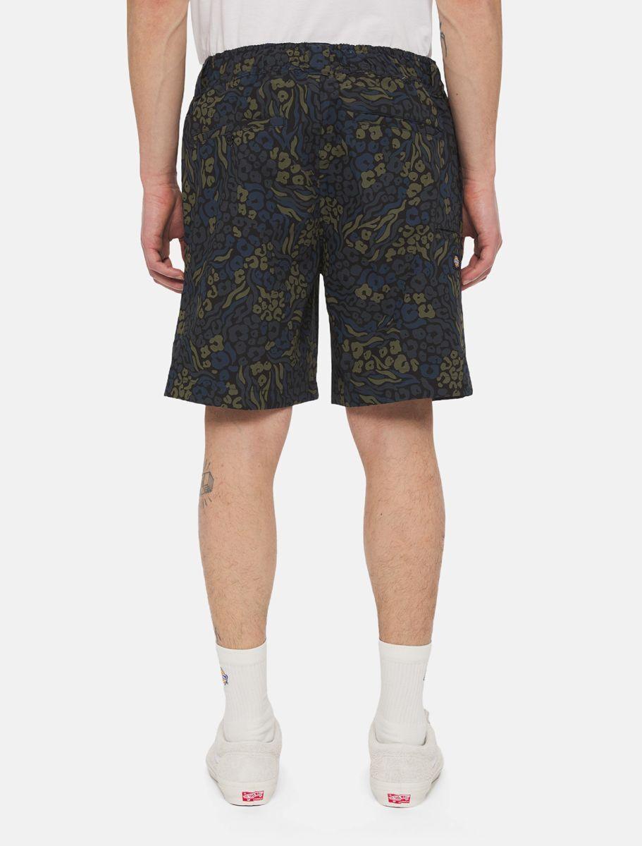 Dickies Saltville Shorts Blue/brown DK0A4YSHJ461 - Image 4