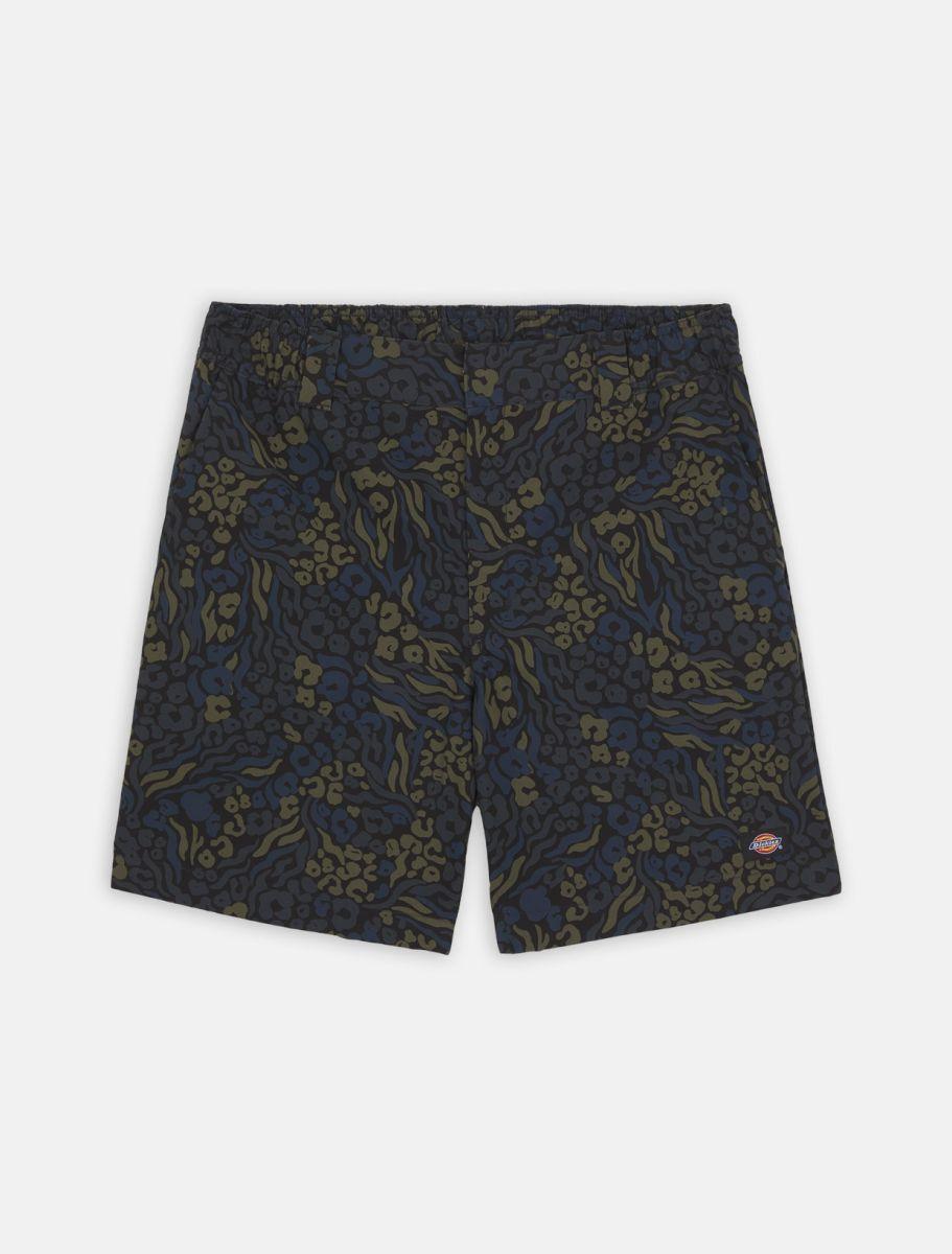 Dickies Saltville Shorts Blue/brown DK0A4YSHJ461 - Image 9