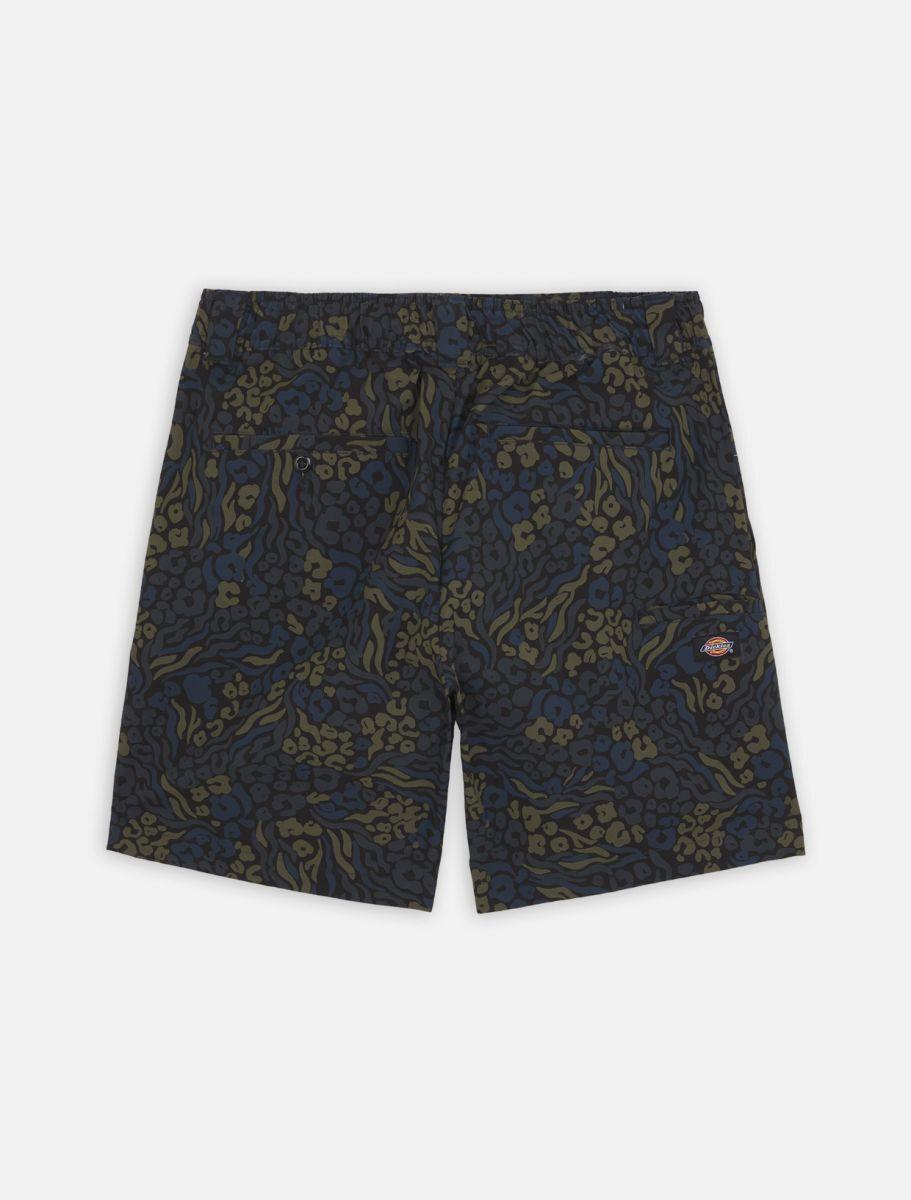 Dickies Saltville Shorts Blue/brown DK0A4YSHJ461 - Image 10