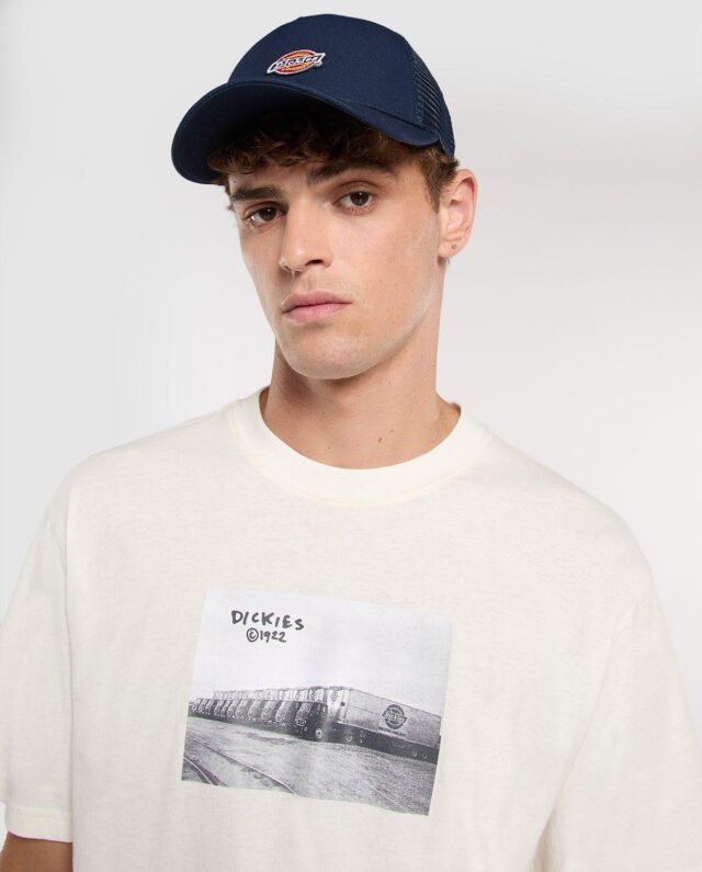 Dickies Hanston Trucker Cap Night Sky DK0A4YV3L181 - DICKIES