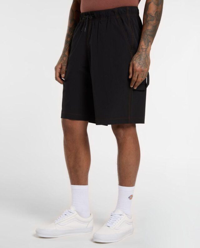 Dickies Wilsall Carpenter Shorts Black DK0A4Z7XBLK1