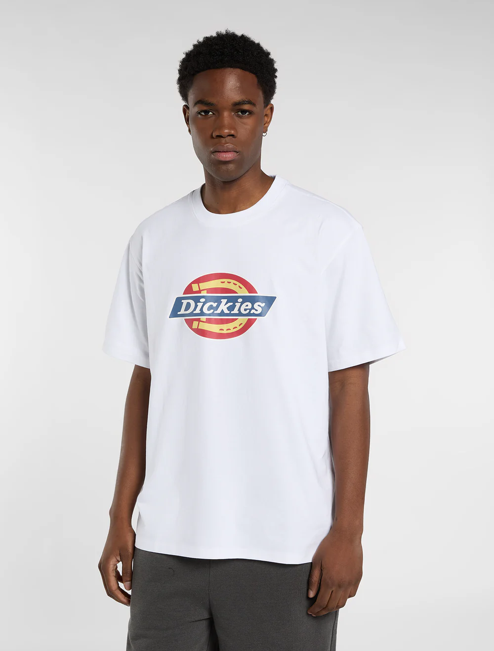 DICKIES ICON TEE WHITE DK0A88FG0WH1
