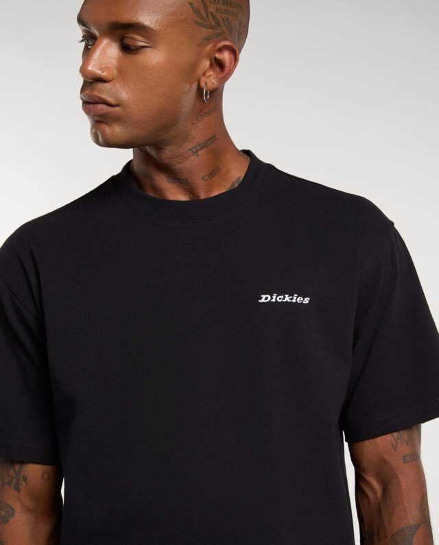 Dickies Loretto Medium-Weight T-Shirt Black DK0A89ENBLK1 - DICKIES