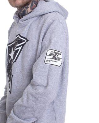 FAMOUS STARS AND STRAPS COMPOSITION HOODIE GREY - Famous Stars and Straps