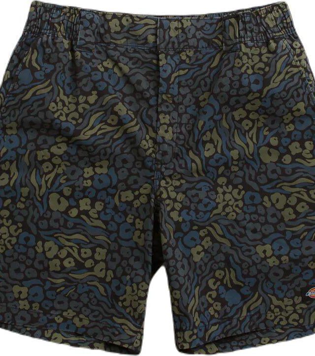 Dickies Saltville Shorts Blue/brown DK0A4YSHJ461 - DICKIES