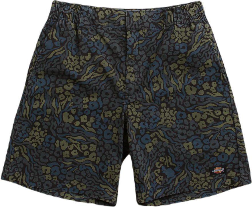 Dickies Saltville Shorts Blue/brown DK0A4YSHJ461 - Image 2