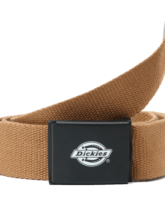 DICKIES ORCUTT WEBBING BELT DK0A4X7EBD01 BROWN DUCK ONE SIZE