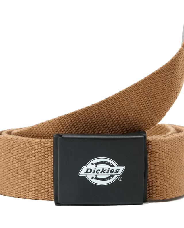 DICKIES ORCUTT WEBBING BELT DK0A4X7EBD01 BROWN DUCK ONE SIZE