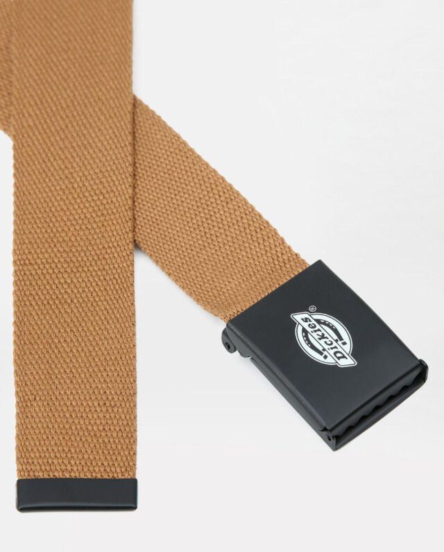 DICKIES ORCUTT WEBBING BELT DK0A4X7EBD01 BROWN DUCK ONE SIZE - DICKIES