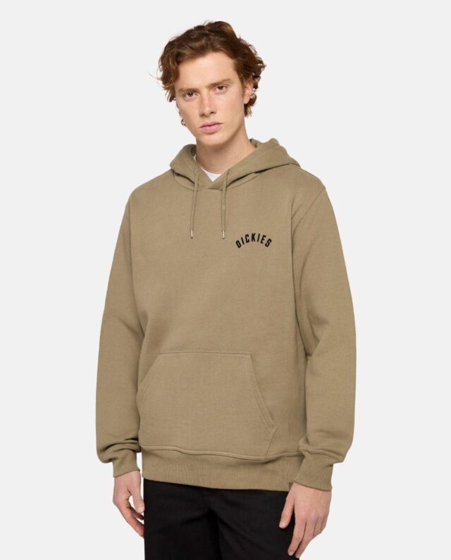 Dickies Panther Hoodie Military Green DK0A87CI0IP1
