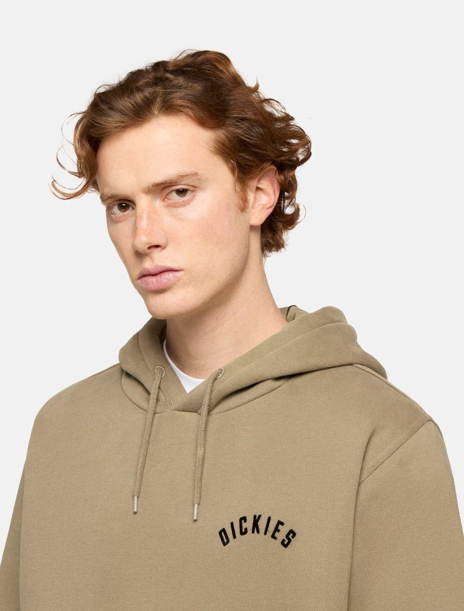 Dickies Panther Hoodie Military Green DK0A87CI0IP1 - Image 4