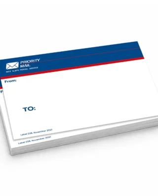 NICE SLAPS Standard Sticker Priority Mail Blue, Medium 50pcs 7.4 x 10.5 cm - Nice Slaps