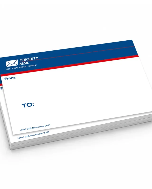NICE SLAPS Standard Sticker Priority Mail Blue, Medium 50pcs 7.4 x 10.5 cm - Nice Slaps
