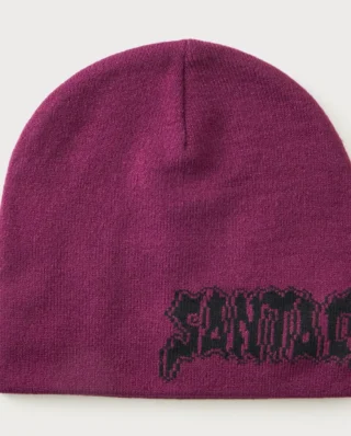 Santa Cruz Punk Strip Beanie Fresh Purple SCA-BNE-9564 1 - SANTA CRUZ