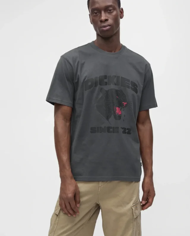 DICKIES MCDERMITT TEE CHARCOAL DK0A8CU20CH1 - DICKIES