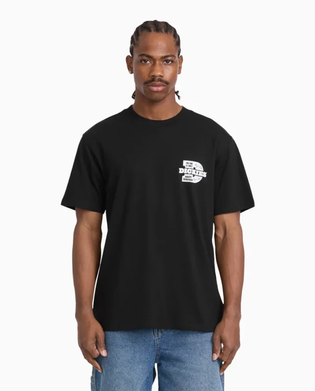 DICKIES Lakeridge medium weight t-shirt BLACK DK0A8D3HBLK1 - DICKIES