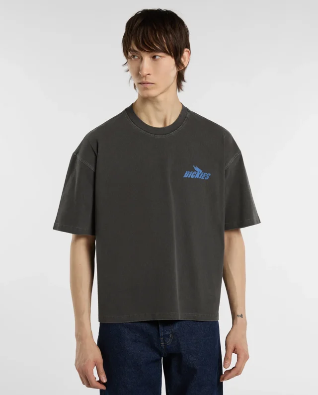 DICKIES SHONTO TEE BLACK DK0A8CCLBLK1 - DICKIES