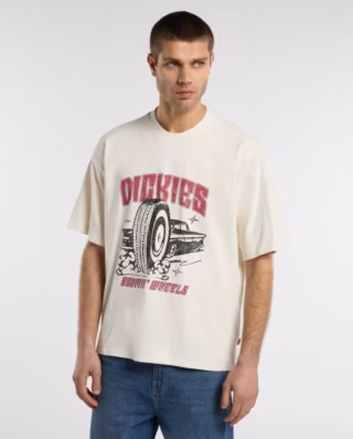 DICKIES SHONTO TEE EGRET DK0A8CCLC481 - DICKIES