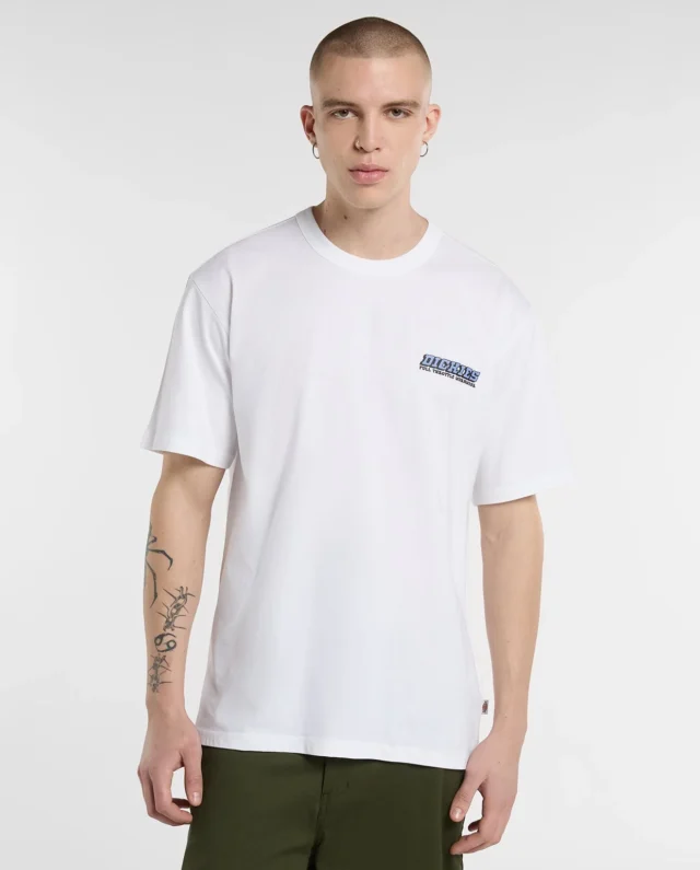 DICKIES BRADENTON TEE EGRET DK0A8D3FC481 - DICKIES