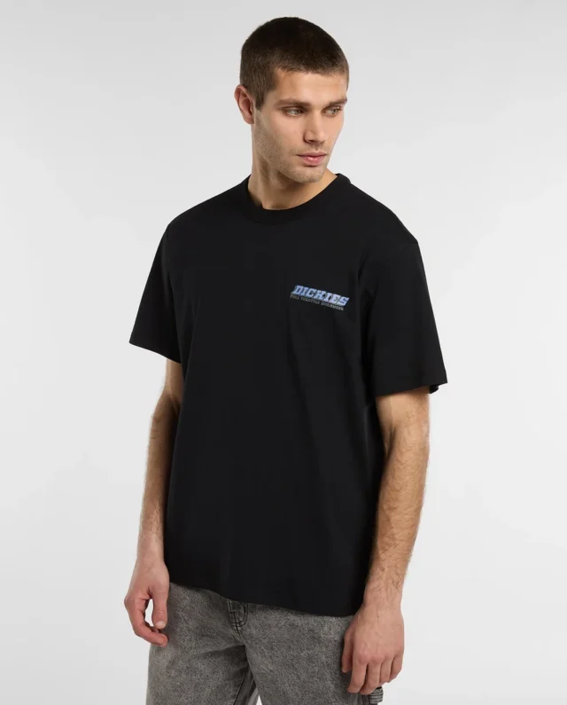 DICKIES Lakeridge medium weight t-shirt BLACK DK0A8D3HBLK1 (Αντιγραφή) - DICKIES