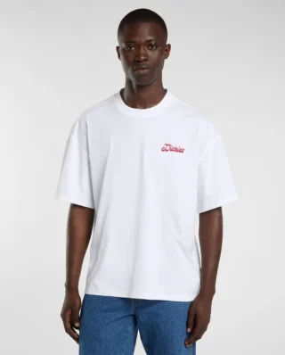 DICKIES Cornville medium-weight t-shirt White DK0A8D3I0WH1 - DICKIES