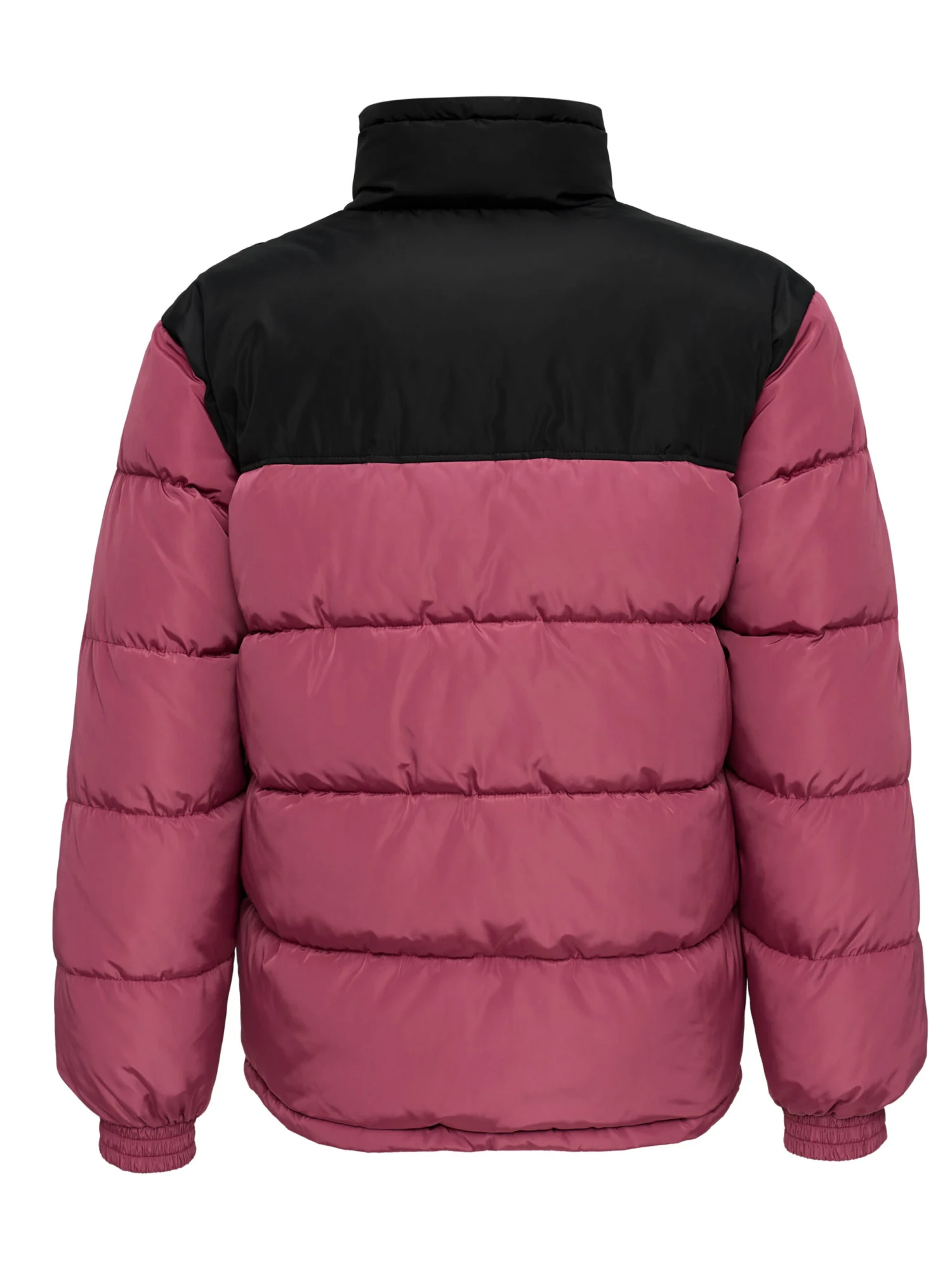 KM-JK012-082-03_PD00016546_back