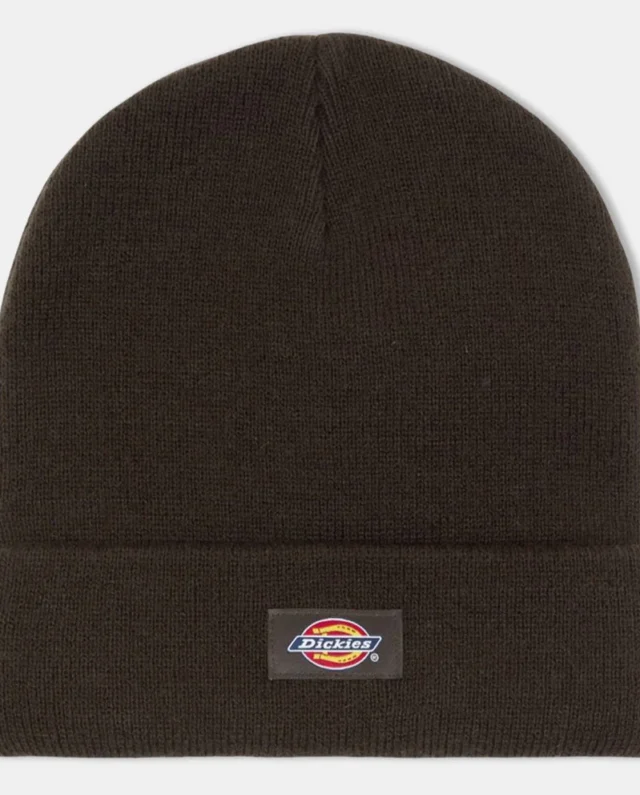 DICKIES GIBSLAND BEANIE DARK BROWN DK0A4X7K0DB1 - DICKIES
